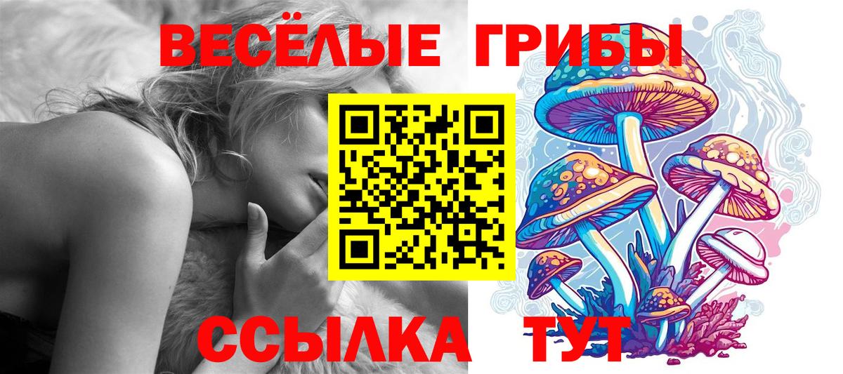 Галлюциногенные грибы Magic Shrooms Вышний Волочёк