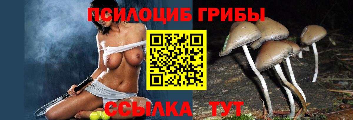 Псилоцибиновые грибы Magic Shrooms  Вход с VPN  Псилоцибиновые грибы Psilocybine cubensis  Вышний Волочёк 