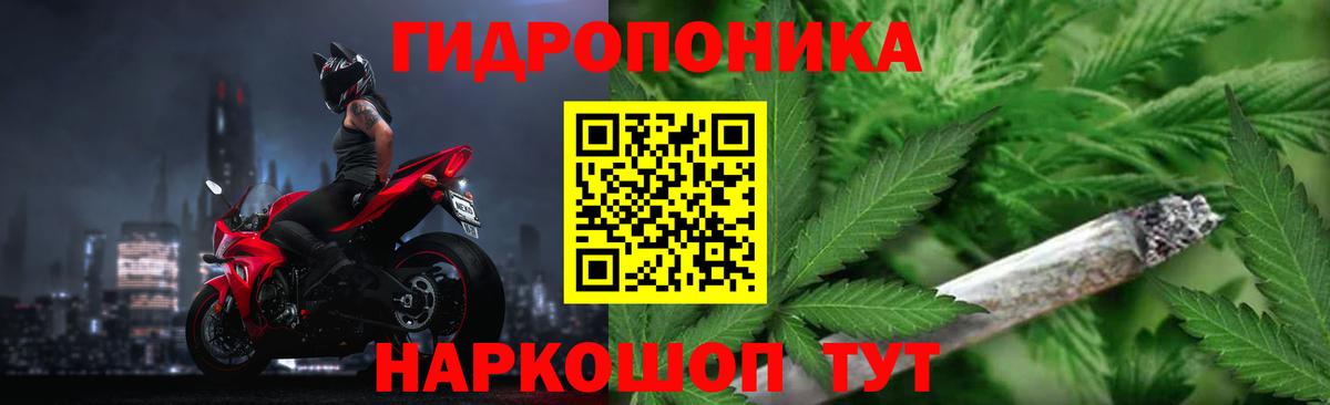 Канабис сатива Вышний Волочёк